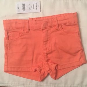 NWT-Joe Fresh Orange Shorts